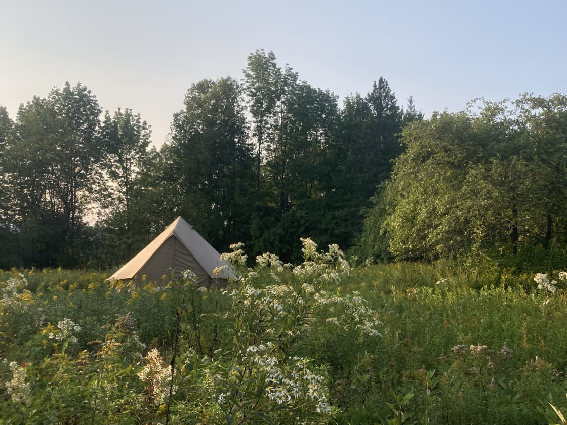 Bell Tents at Mount Cabot Maple