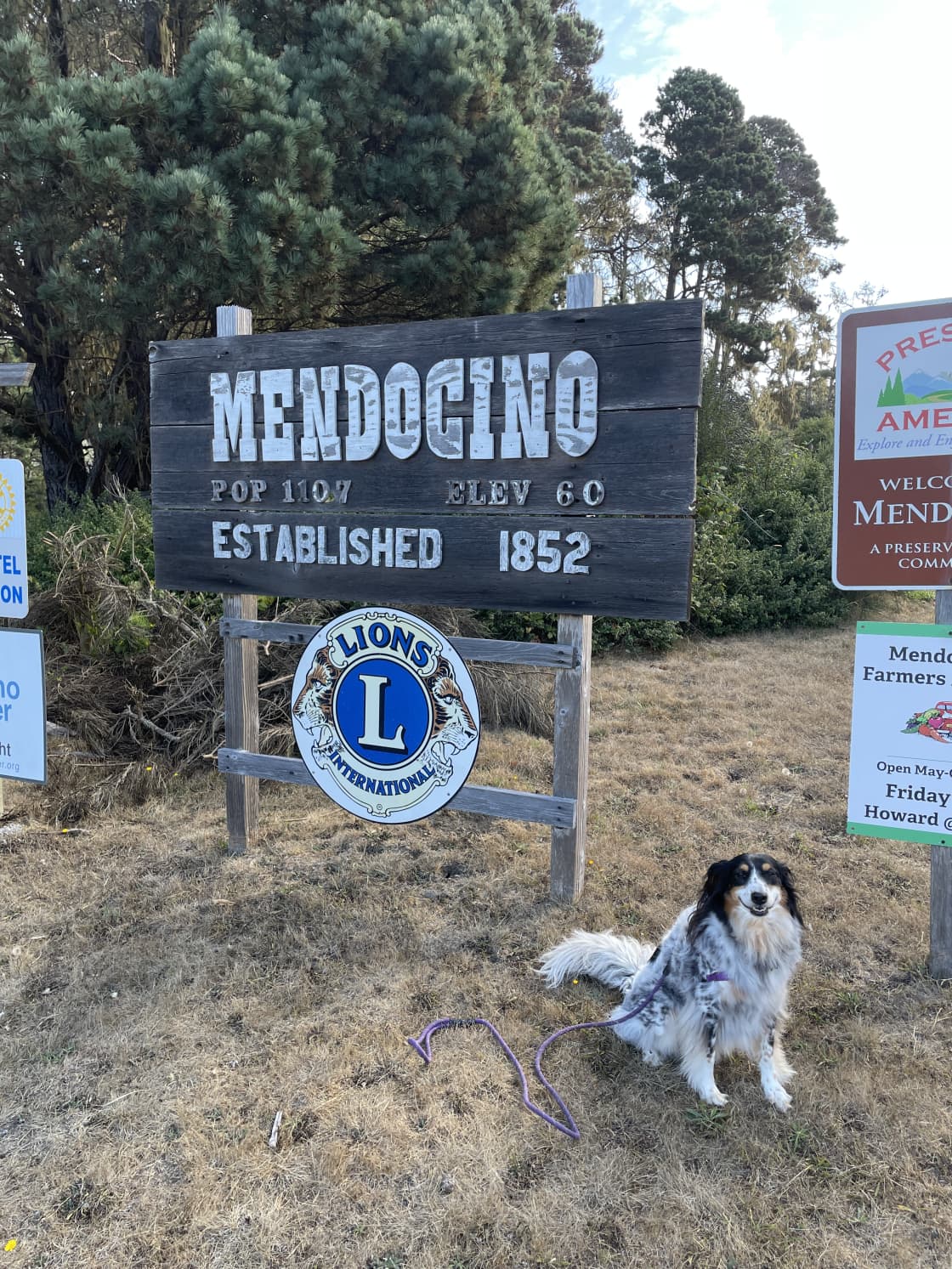 Mendocino Overlook Coastal Camping