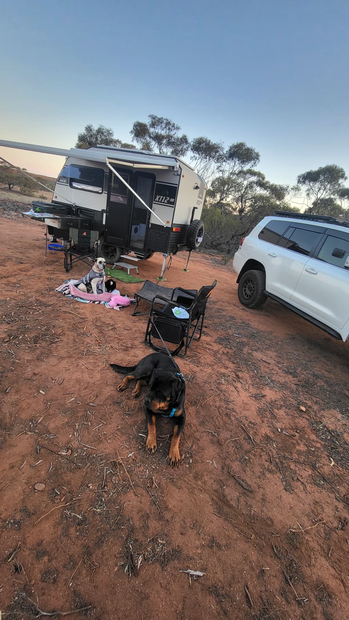 Dog friendly, camp grounds solid for caravan