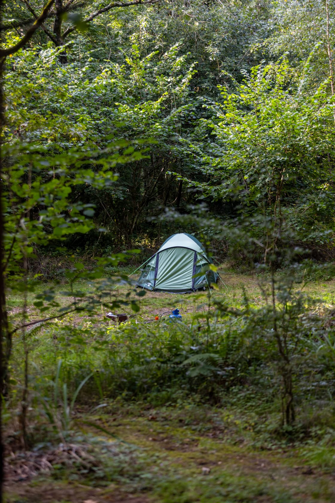 Bridgewood Camping - Woodland camps