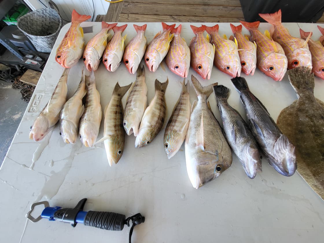 Mixed bag of good eating reef fish!
Sand perch
Lane Snapper
Black sea bass
Flounder
