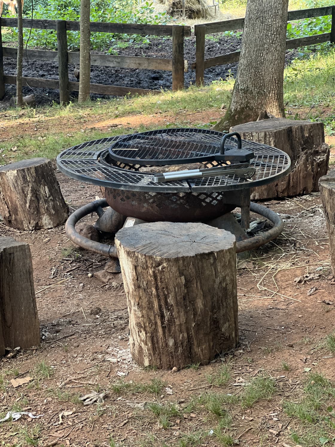 Firepit/Grill 