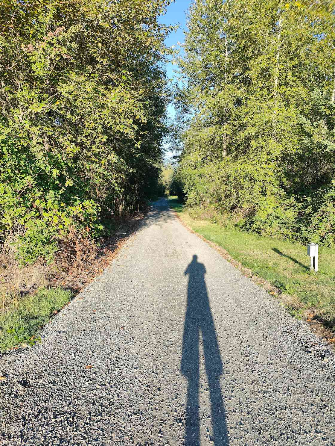 Hill. Top Hipcamp in Lake Morton Berrydale, Washington