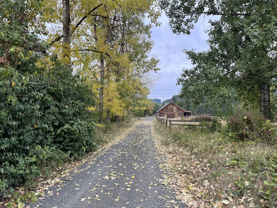 Fall and the barn