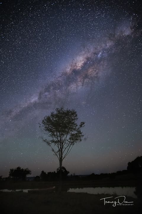 Magnificent milky way. Credit - Tracey Lee Photography