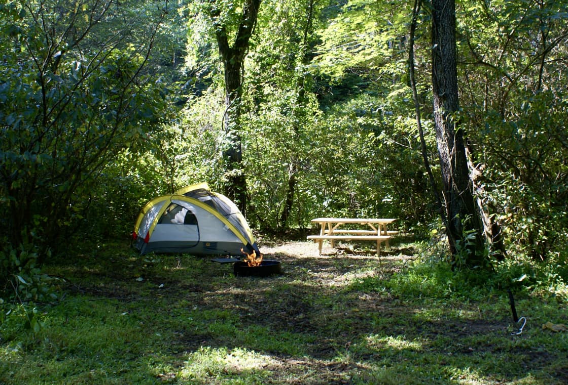 TangleWood Creekside Campsites