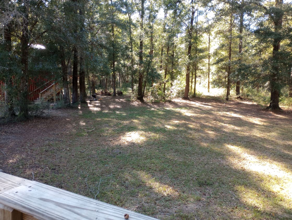 camping area, view facing west (barn in view) 