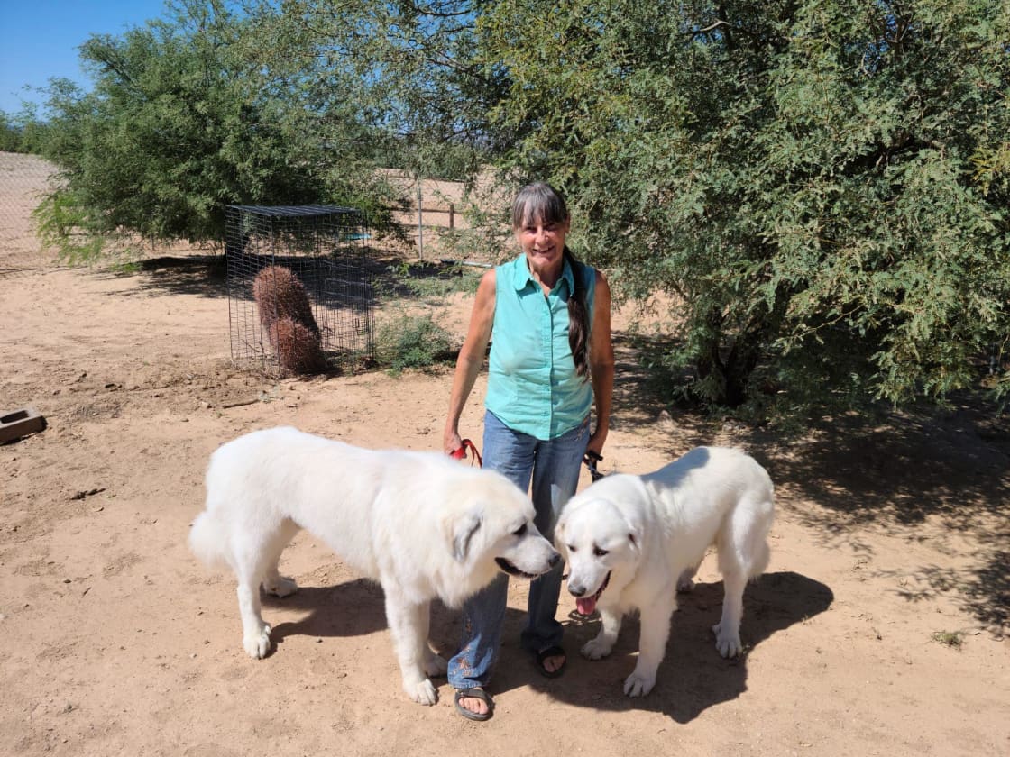 Host with rescued Great Pyrenees Bonnie and Clyde