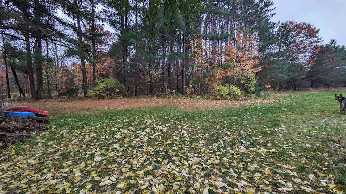 Ferg's Fife Hipcamp in Fife Lake, Michigan