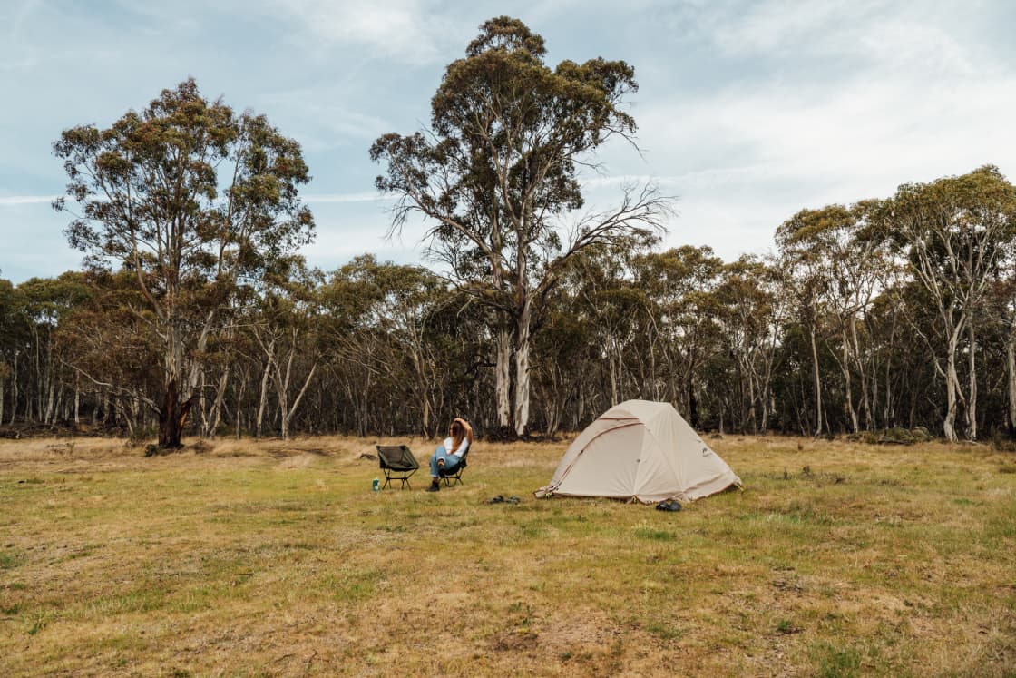 Spacious campsites in the open spaces and you can also head into the trees for some more privacy and shade.