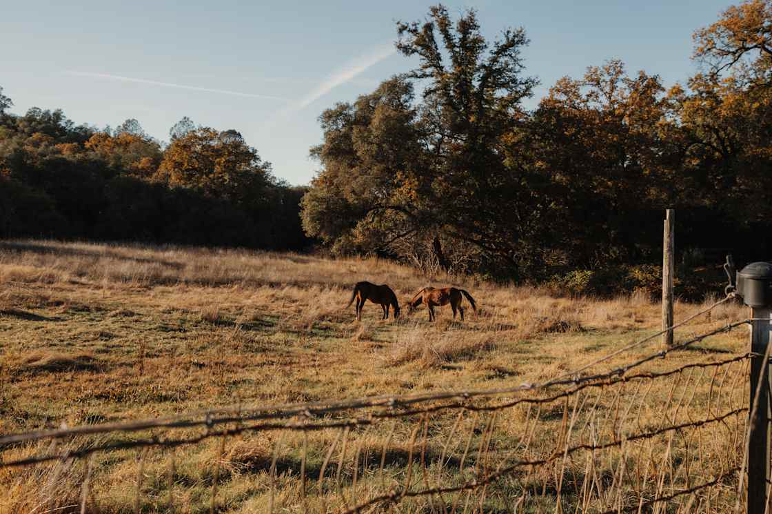 Camp Wayward - Photo 2