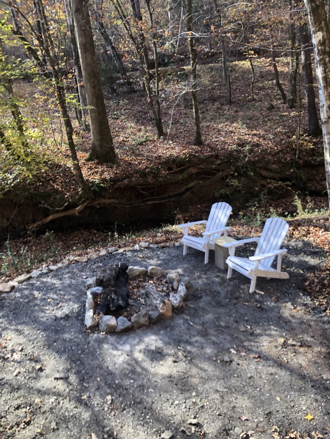 Creekside Fire Pit and Hammock Area.