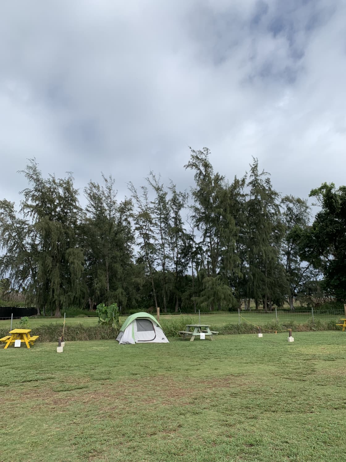 Maleka Farm: Camper-van & Tent