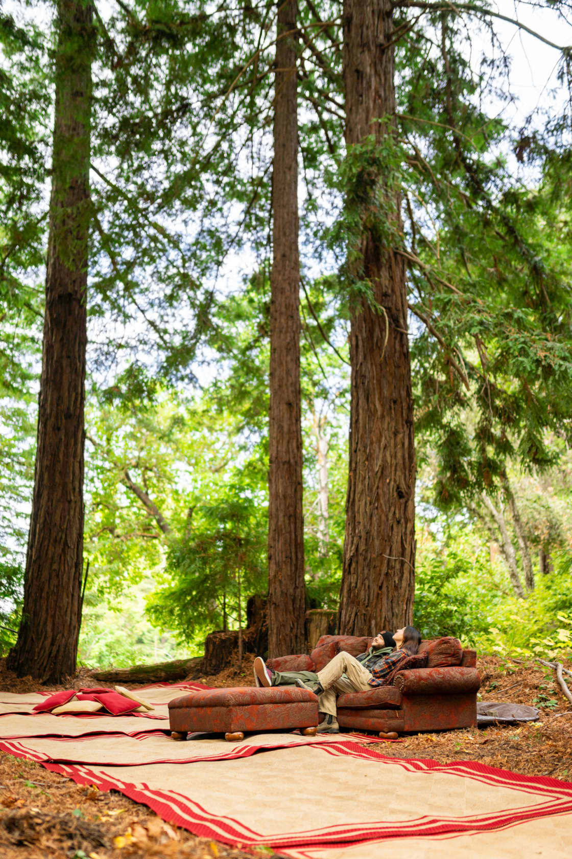 Couch nestled in a redwood grove