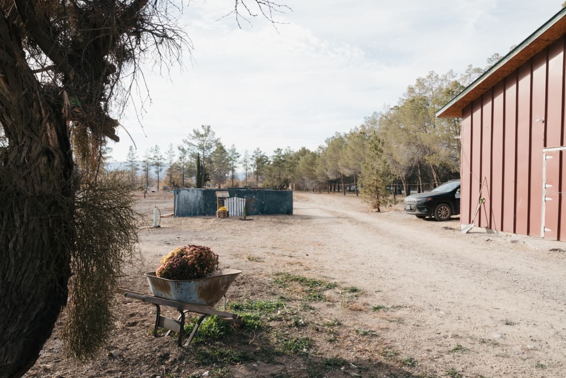 When you drive in there is large area that is a free for all for camping. It's surrounded by trees with horse and chicken pens at the back. The area next to the barn is great for RV's who want to hook into power.  