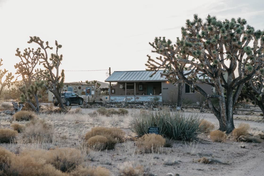 The cabin and yard, with lots of Joshua trees around
