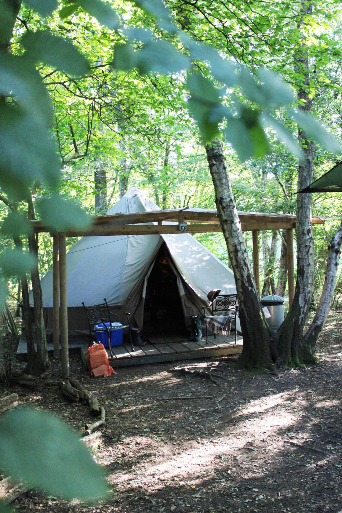 Wild Boar Wood Campsite