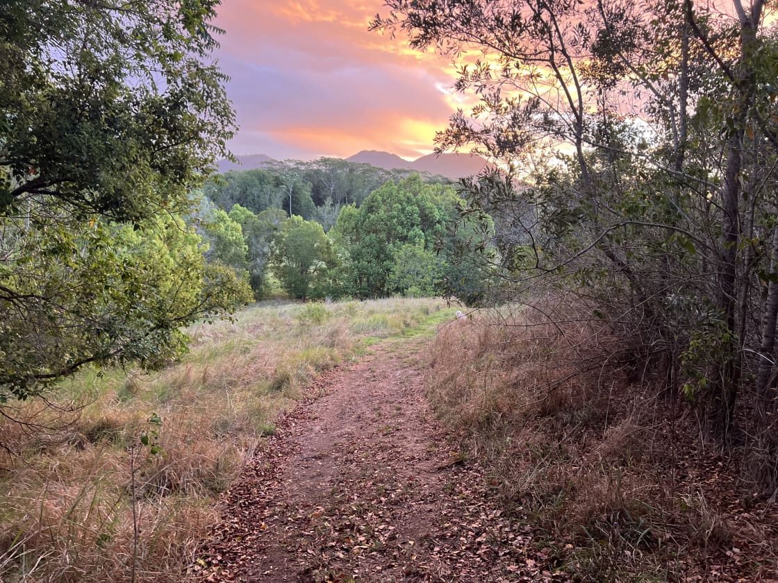 Magical sunsets during our goat walks.