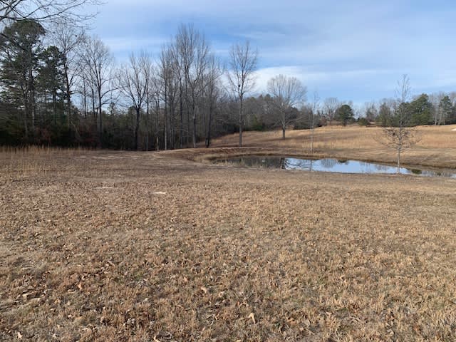 Across the pond, you can see campsite #5. 
This area will be grassy and green come spring. This shows the back left fence line which is the boundary for site #5. 