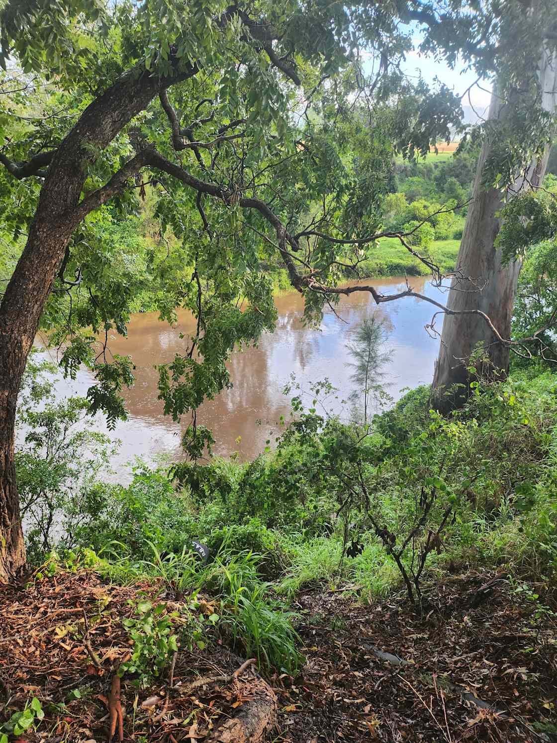 River Flats - Photo 2