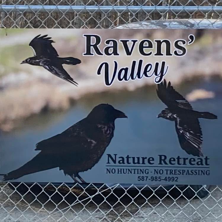Ravens' Valley Chickadee Chalet