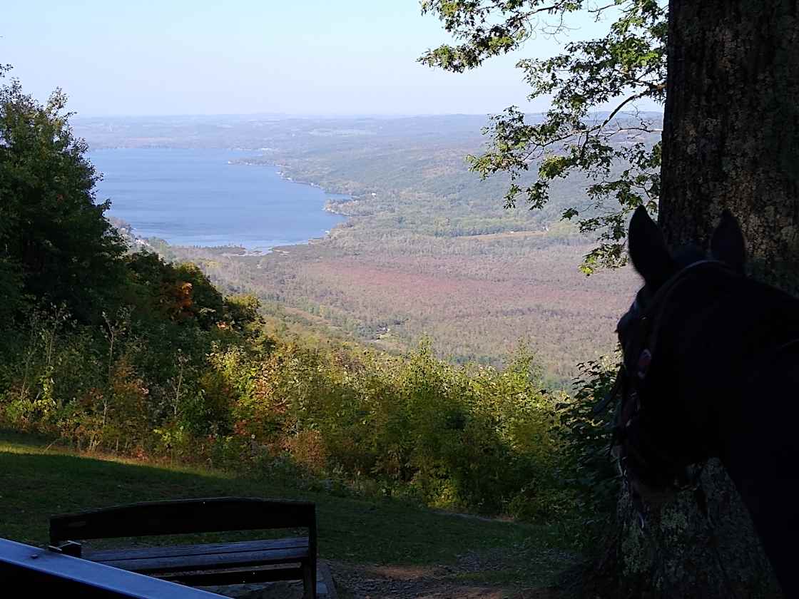 Larch Ridge Ranch - Hipcamp in Arkport, New York