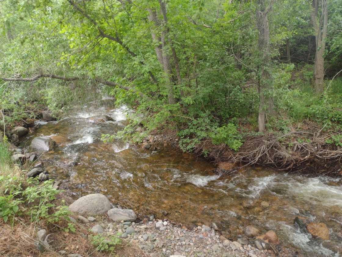 Cozy Creek