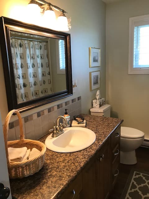 Modern bathroom with custom vanity, flush toilet and tub/shower combination