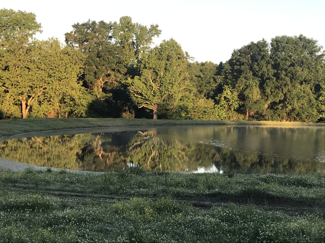 1 Acre pool with lots of bass!