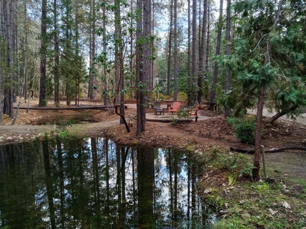 View of RV/Van campsite area with 2 winter ponds and Communal Firepit
