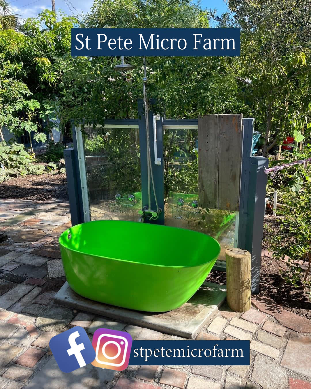 St Pete Micro Farm