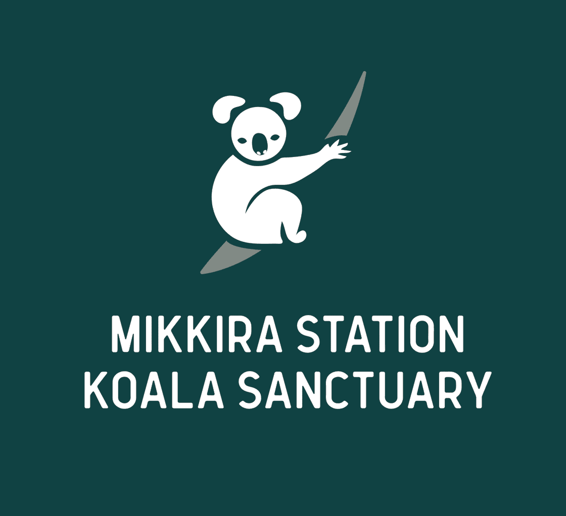 Mikkira Station Koala Sanctuary
