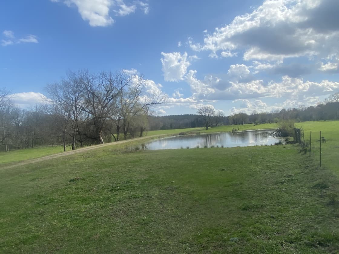 Facing south/front of property with view of pond and creek on far right 