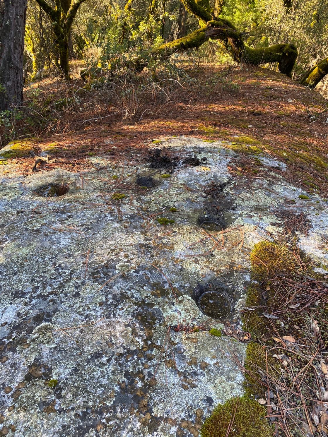 One of the huge grinding stones at the center of the ancient Miwok settlement site 