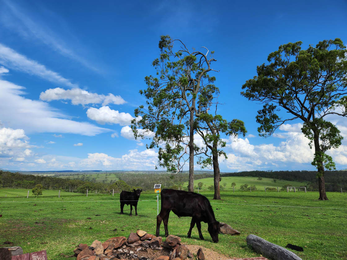 Tinara, 200 acre cattle farm 