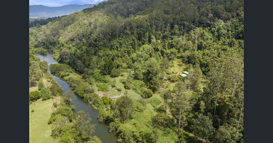 Wirrilaa Rainforest Retreat Hipcamp in Tyalgum, New South Wales