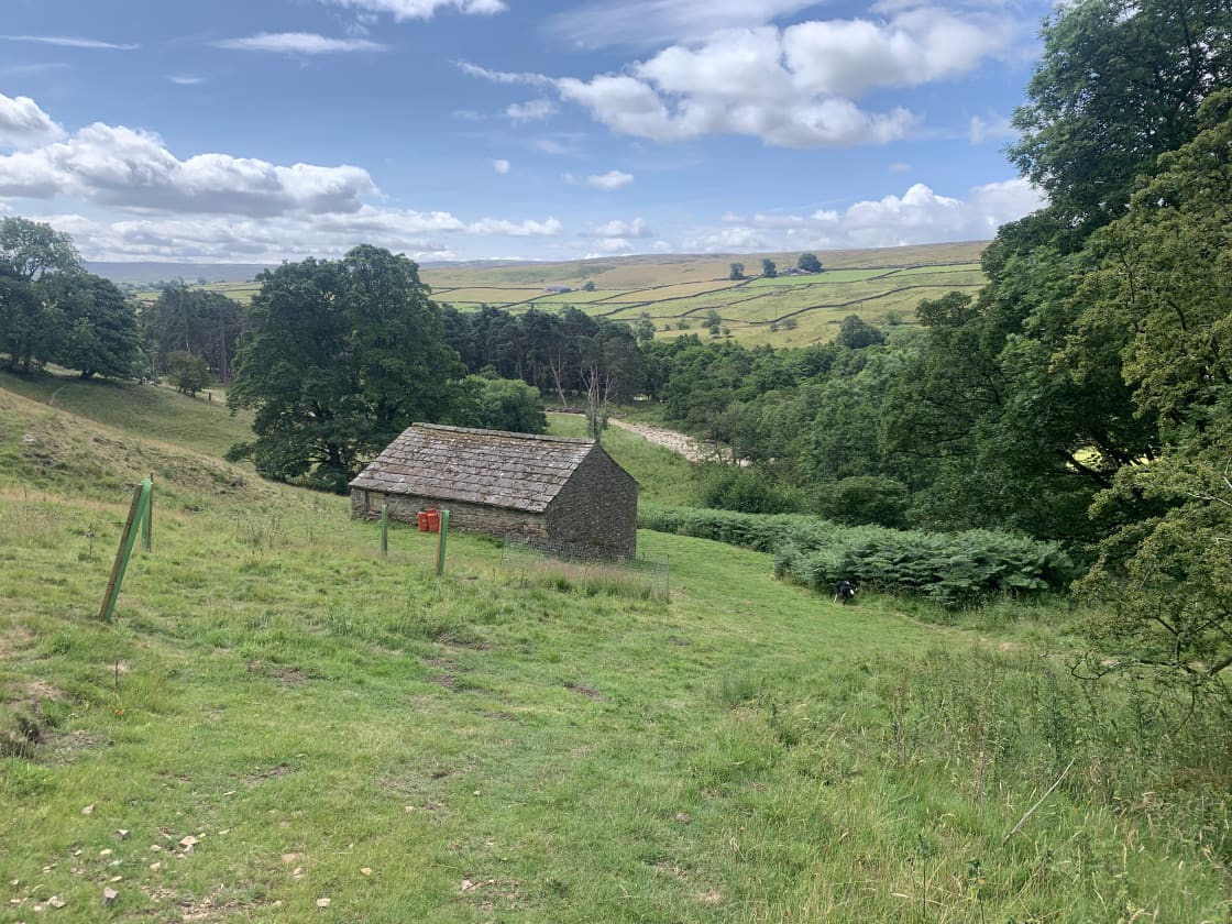 The approach to cow byre HQ from the farmhouse... We keep the area surrounding it strimmed, should you want to pitch up directly behind or adjacent.