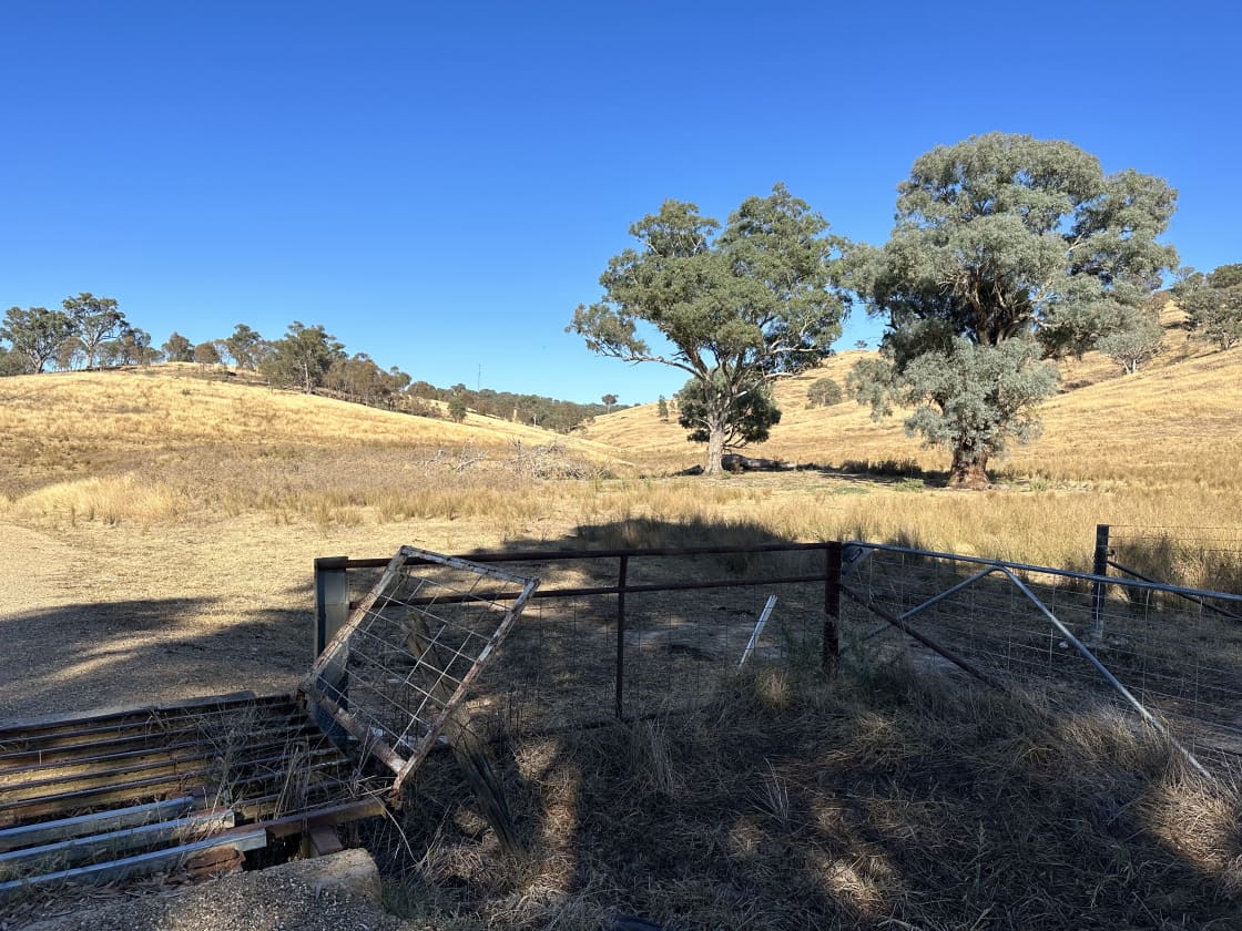 Cattle grids along gravel road into property.