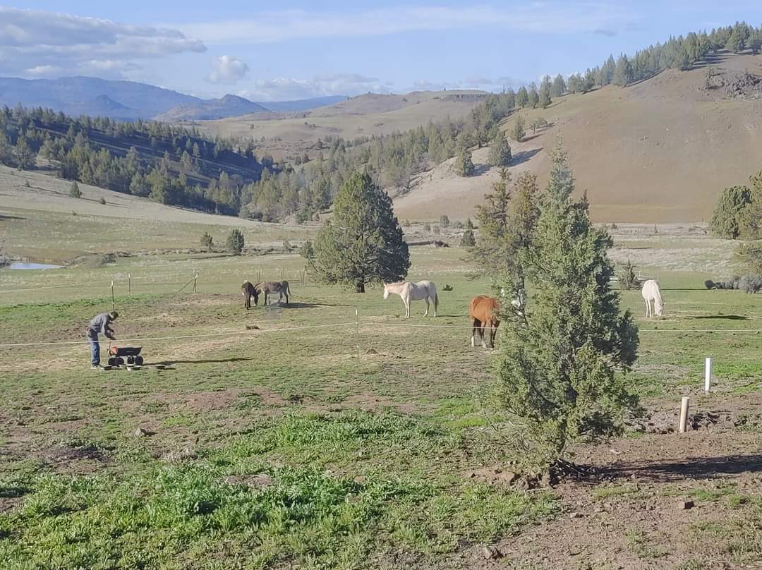 Shasta Valley Horse Ranch Adventure