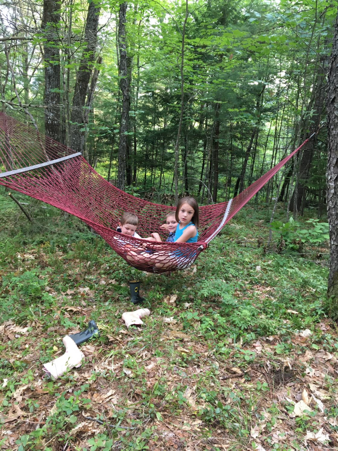 Grandchildren of Campkeeper enjoying the hammock on family camping weekend. 