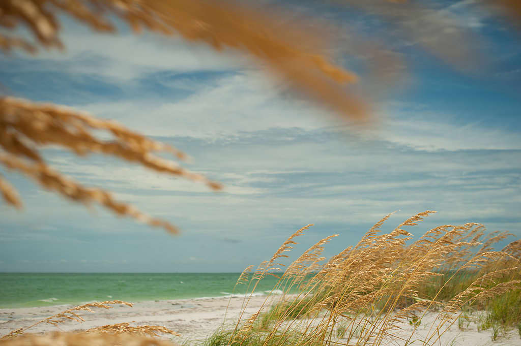 Beach vibes! You are walking distance {1/3 of a mile} to your Don Cesar neighborhood private beach entrance. This image was taken during the summer when the sea oats are in full bloom.