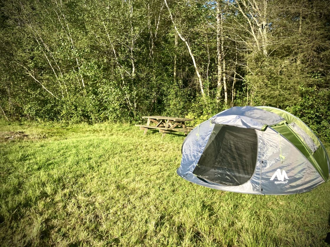 Camp on the Organic Blueberry Pond!