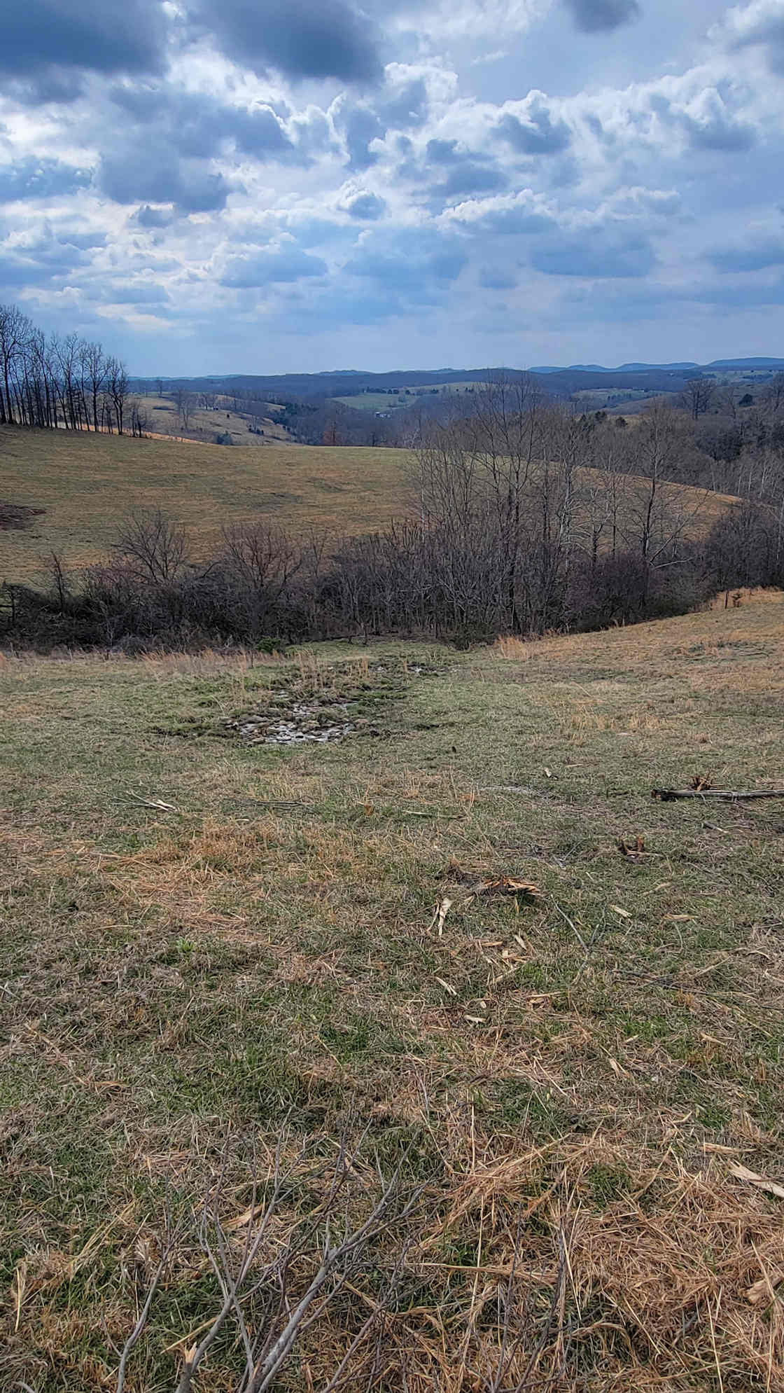 Gleaming The Glade Campsites Hipcamp in Thornfield, Missouri