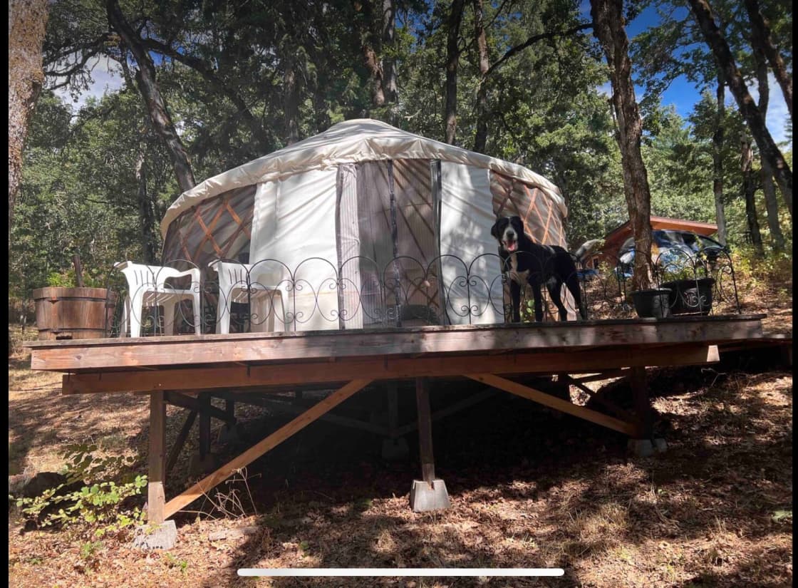 Yurt camp near White Salmon