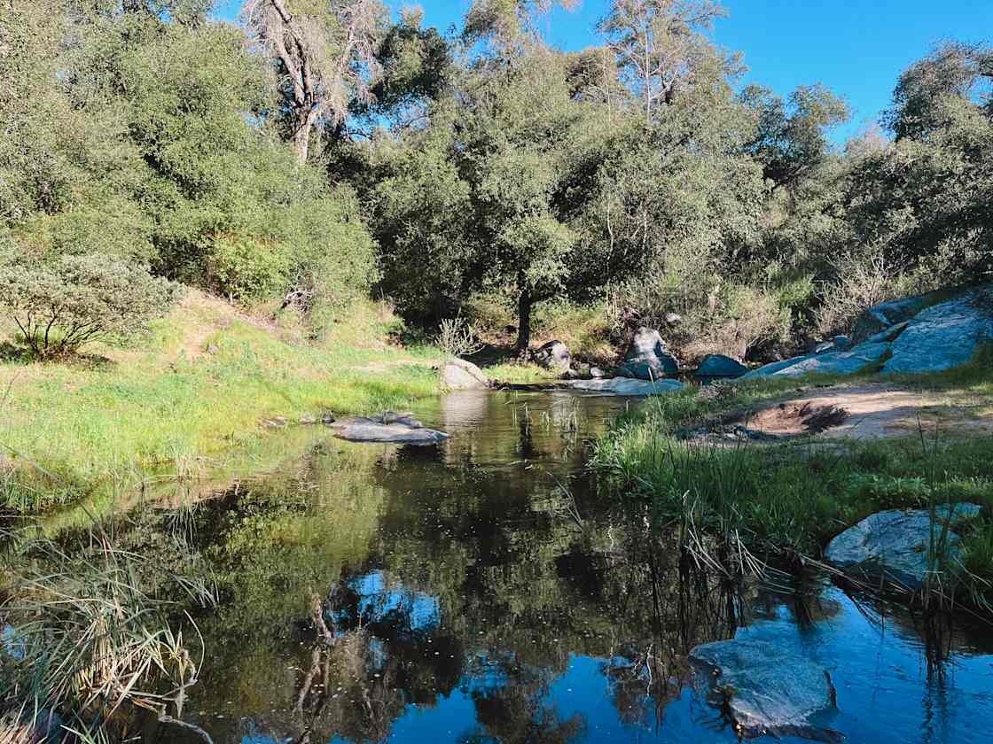 Black Canyon Family Farm - Photo 2