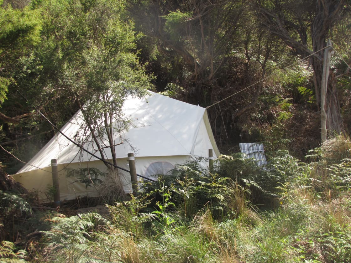 Milanesia Bay Camp