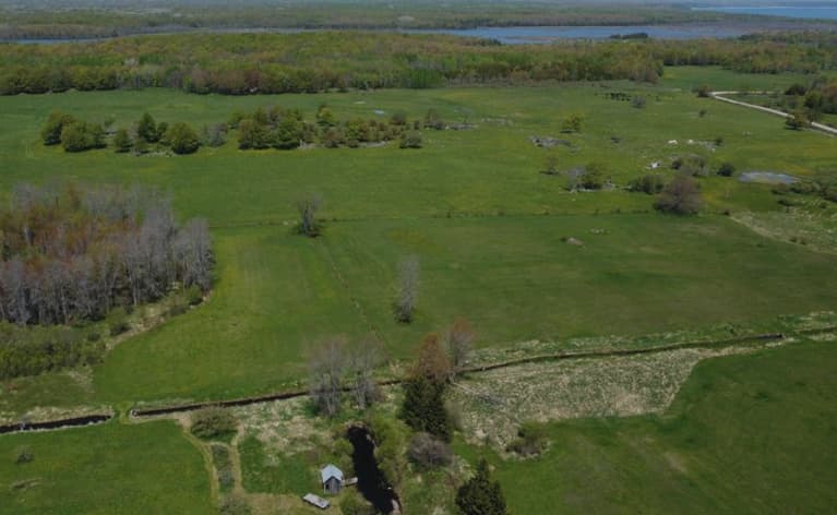 Arial view of our pond, creek, back fields and neighbouring cattle pasture. The far body of water is Otter Lake. 