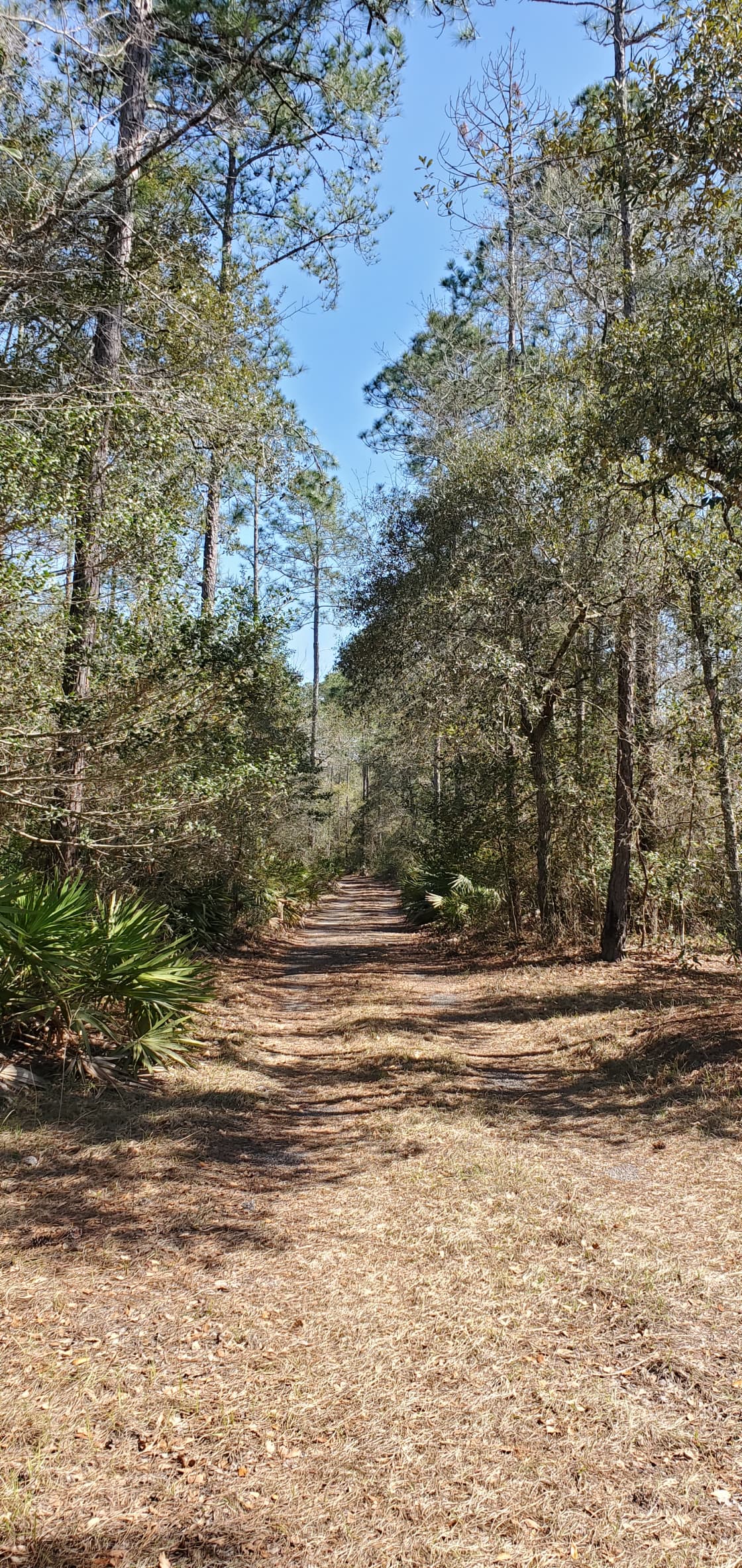 Florida Georgia Line River Camp
