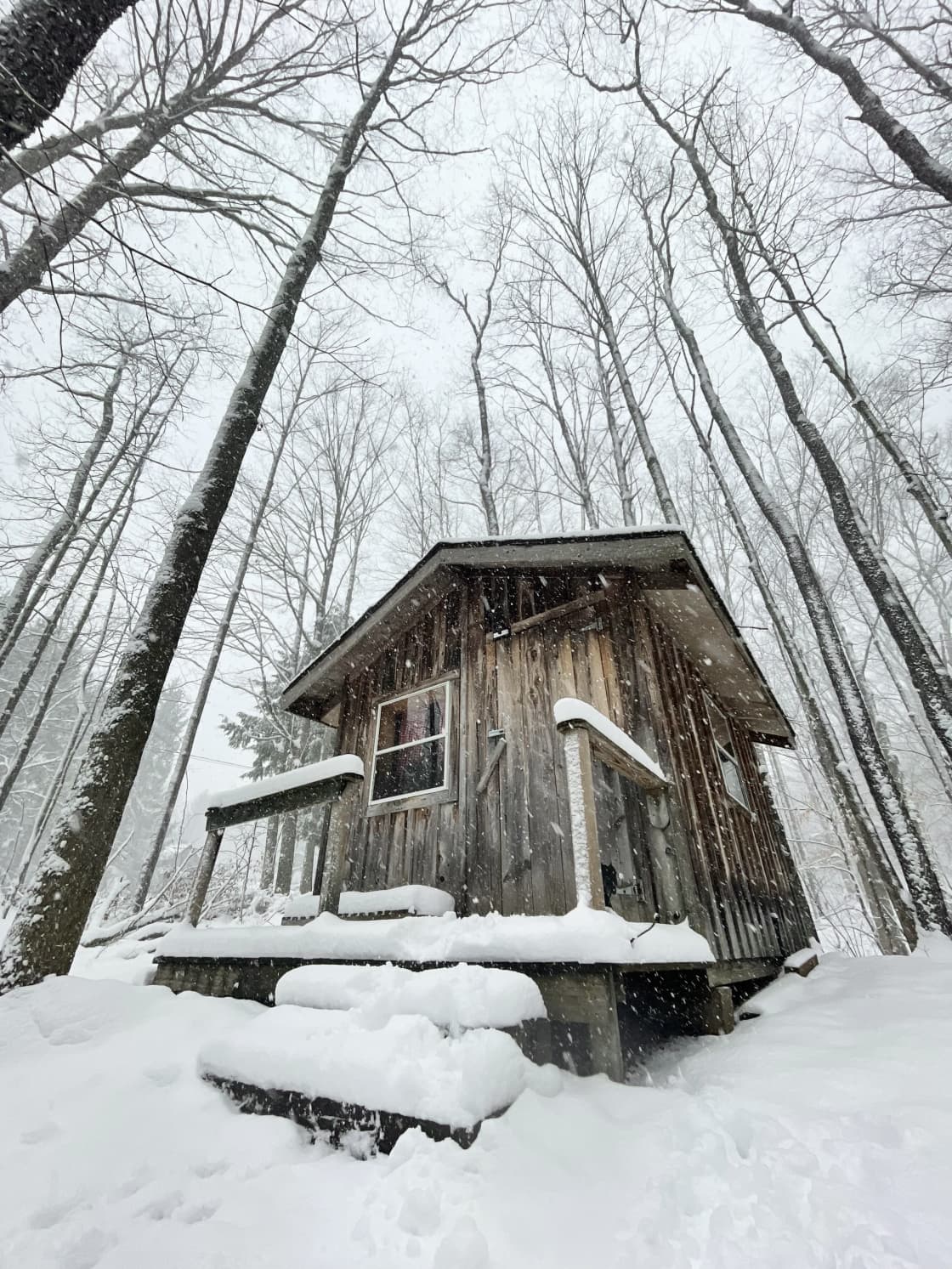 The cabin exterior and forest covered in a fresh blanket of snow. 