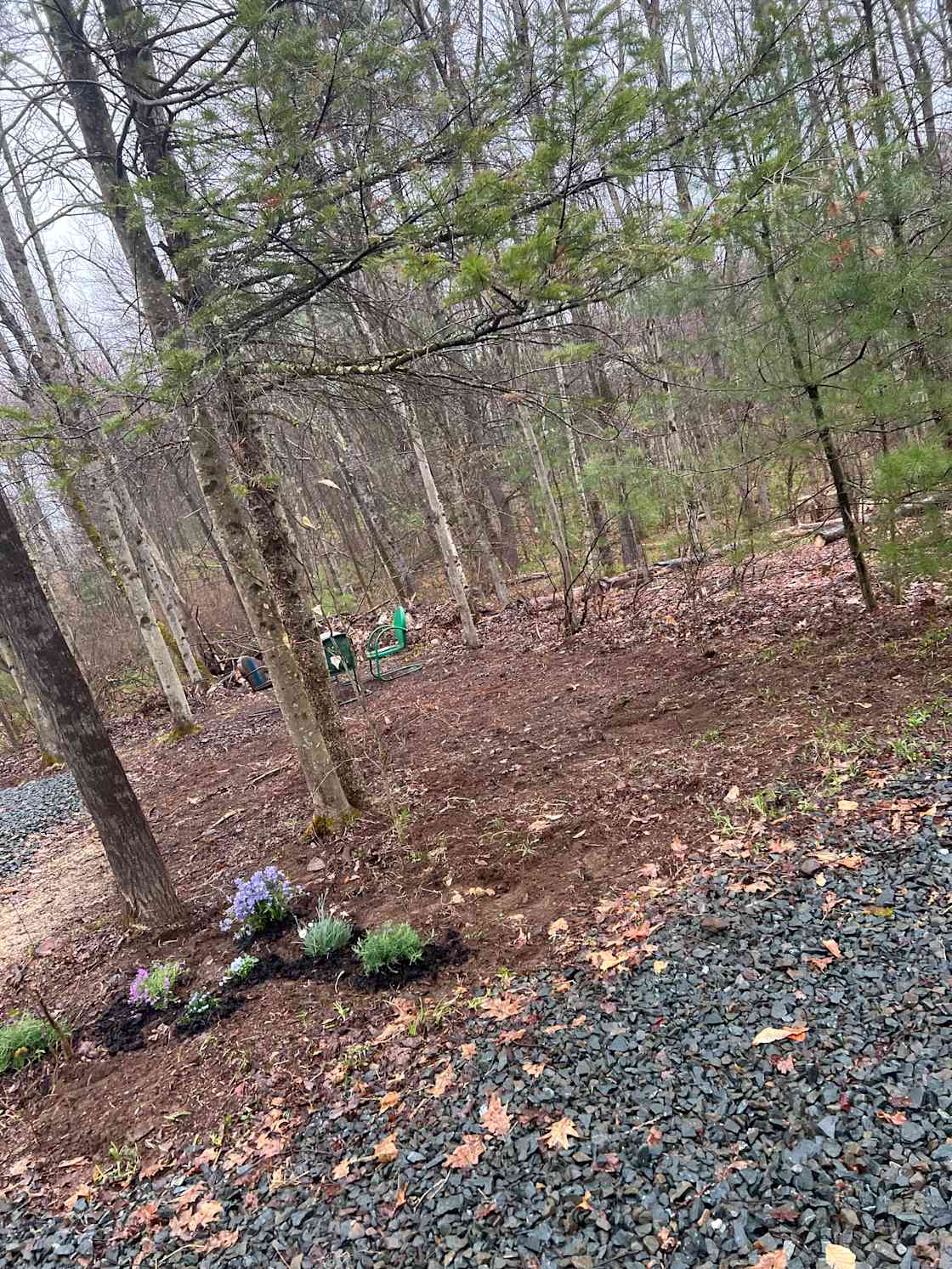 Blueberry Ridge Camp Site Hipcamp in Cropseyville, New York